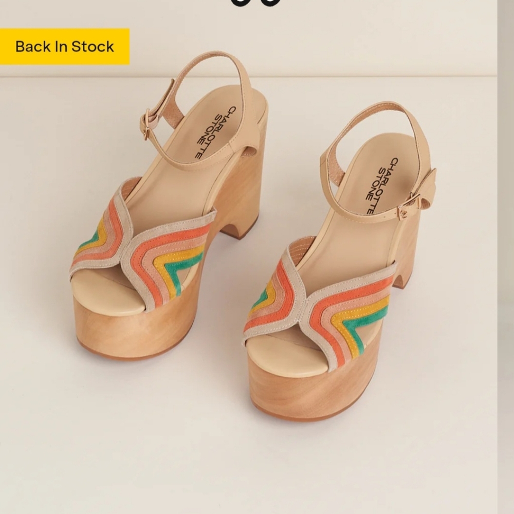 Gorgeous Charlotte Stone clogs
